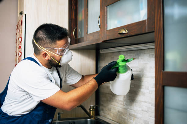 Best Pest Inspection Near Me  in Yarmouth Port, MA