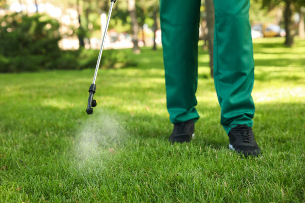 Best Affordable Pest Control Services  in Yarmouth Port, MA