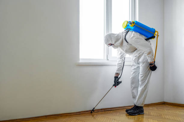 Best Wasp Removal Services  in Yarmouth Port, MA