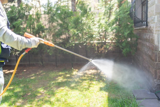 Best Local Pest Control Services  in Yarmouth Port, MA