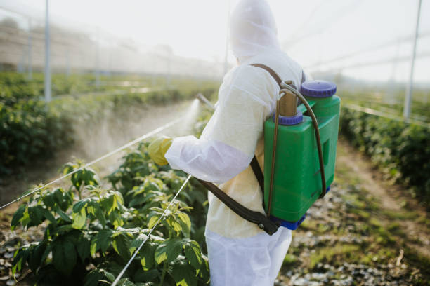 Wildlife Control Services in Yarmouth Port, MA